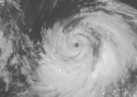 Tháng 1/2021, khả năng vẫn xuất hiện xoáy thuận nhiệt đới trên Biển Đông