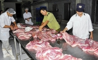 Quản lý thị trường cấp bách ngăn chặn dịch tả lợn châu Phi