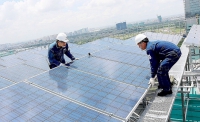 Đầu tư vào năng lượng tái tạo có thể tạo ra 465.000 việc làm mới