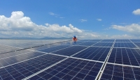 Hơn 50 nhà máy điện mặt trời đã đi vào vận hành